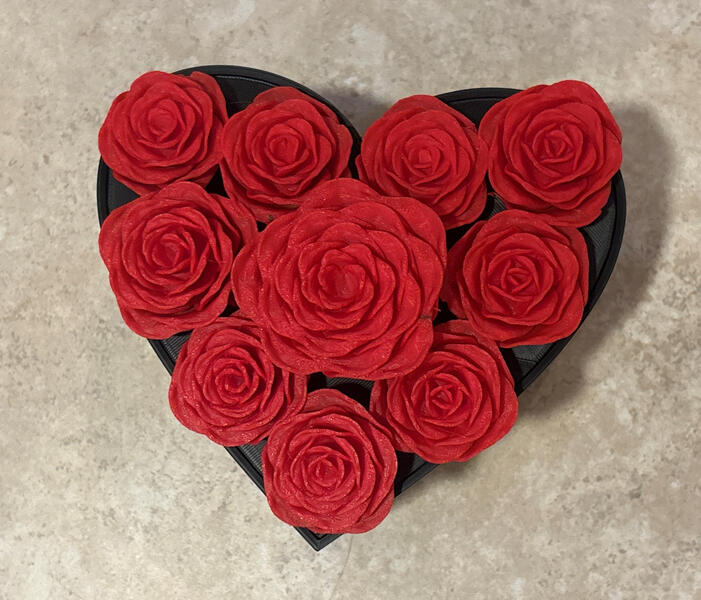 Heart Shaped Box (5 of 5)