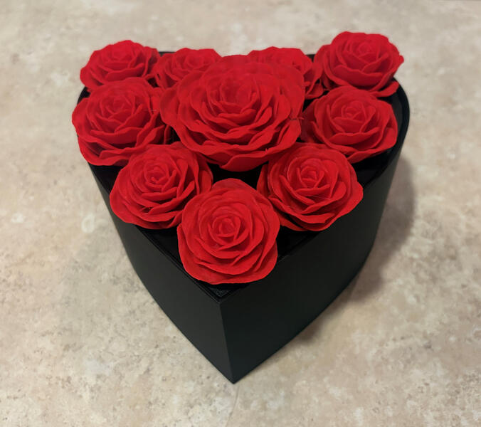 Heart Shaped Box (4 of 5)